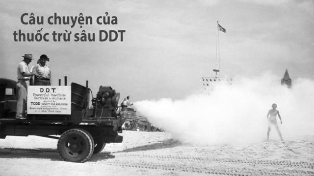 50 năm trước, người ta từng coi thuốc trừ sâu DDT là ‘tốt cho sức khỏe'