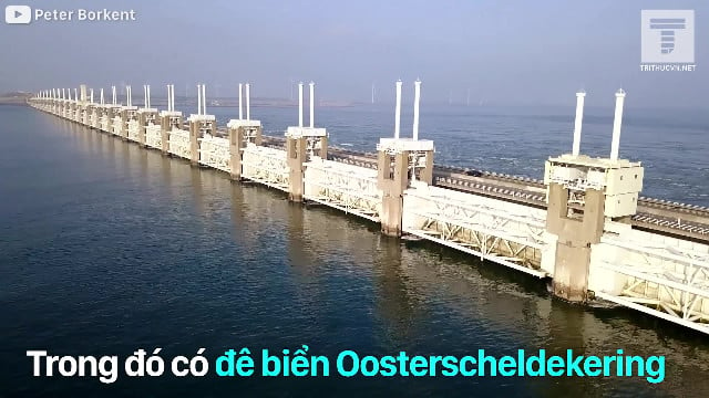 Đê biển Oosterscheldekering: Kỳ quan thế giới của người Hà Lan