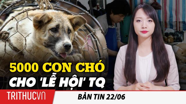 Bản tin 22/6: Lễ hội thịt chó Ngọc Lâm ‘khét tiếng’: Giải cứu 68 con chó trên đường đưa đến lò mổ